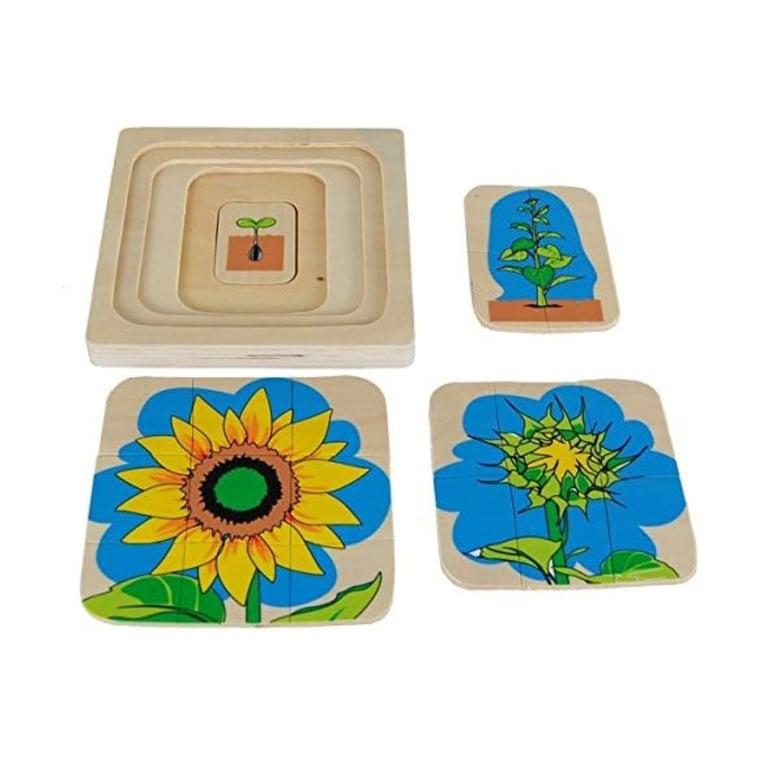 Montessori Kid Advance Montessori Laagpuzzel Zonnebloem Levenscyclus