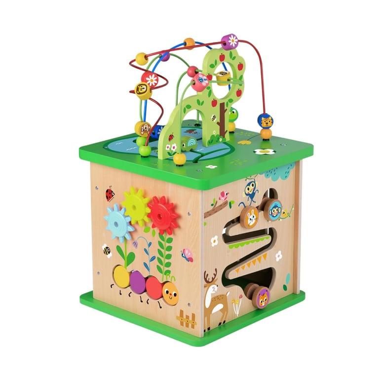 Montessori TOOKYLAND 5-in-1 Houten Activiteitenkubus