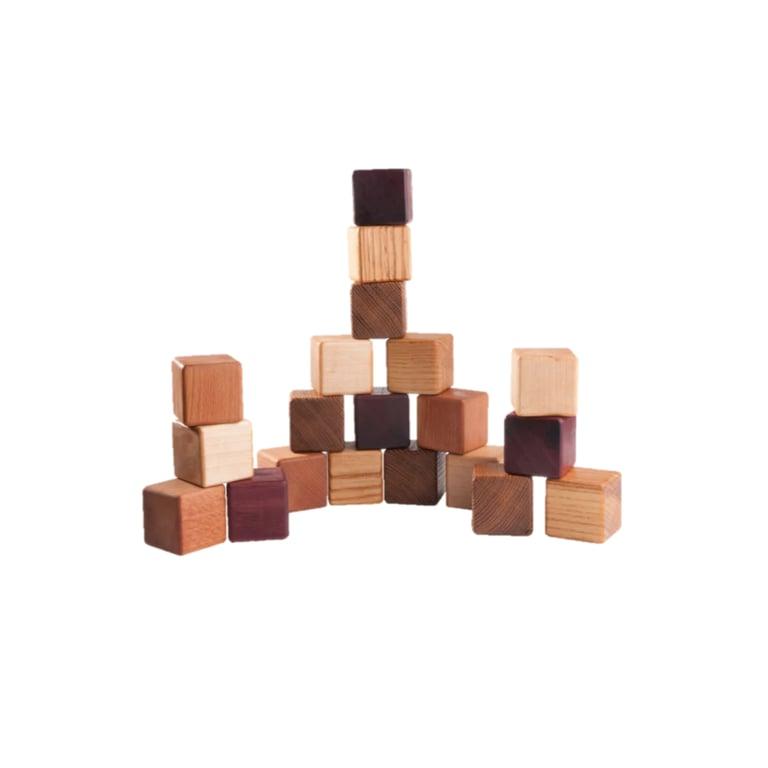 Montessori PoppyBabyCo Klassieke Houten Blokken 5 Houtsoorten 20 Stuks